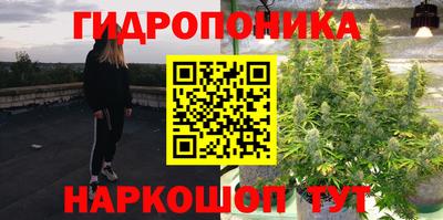 тгк Камышлов