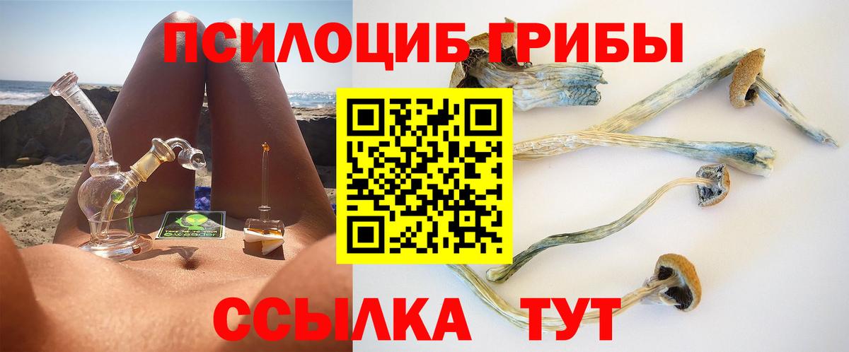 Хасавюрт  Псилоцибиновые грибы MAGIC MUSHROOMS  Галлюциногенные грибы GOLDEN TEACHER  Вход с VPN 